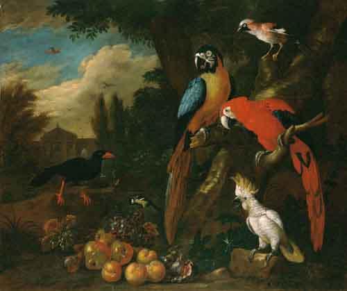 Jakob Bogdani Still Life with Fruit oil painting image